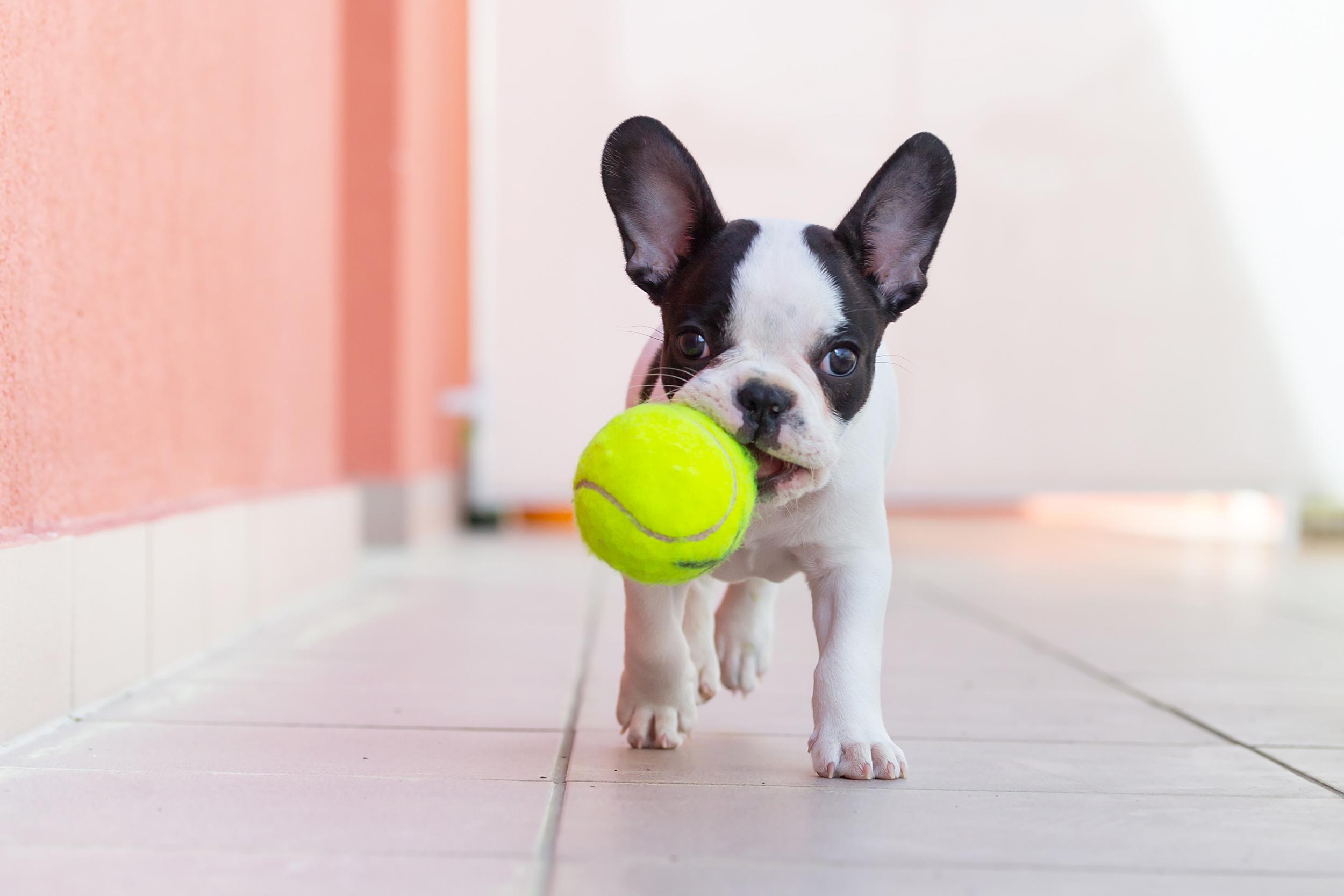shutterstock_145640869